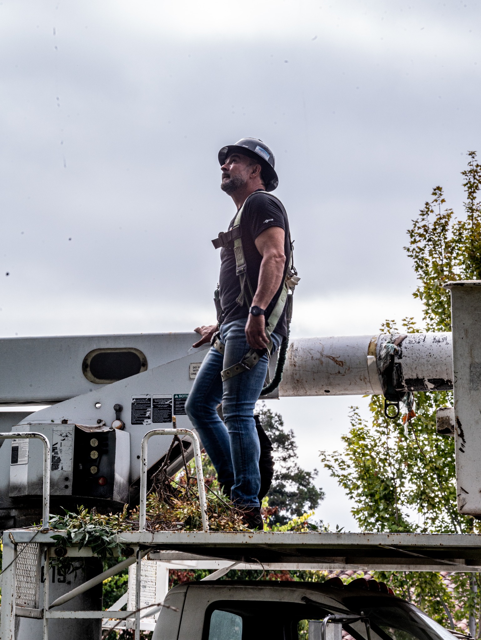 Tree Tech professional in a helmet and harness beside the aerial equipment